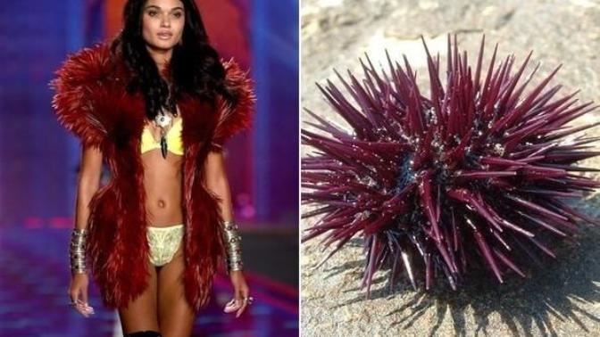 Victoria's Secret Mankenleri Bir Şeylere Benzetilseydi Nasıl Olurdu?