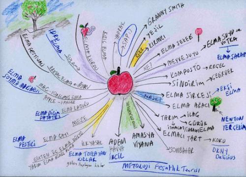 Beynini Tam Kapasite Kullanmak İsteyenlere: Zihin Haritaları