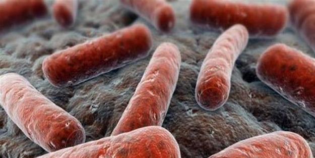 Verem Nedir? Hastalığın 8 Belirtisine Dikkat!