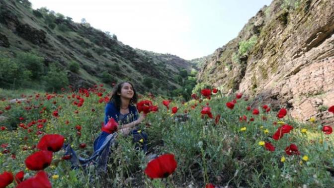 Kurmaca İdeolojilerin Kurbanı Bir Şehrin Bilinmeyen Harika Doğası: Doğu'nun Karadeniz'i Hakkari! 
