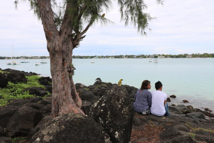 Gözlerden Uzak Yurt Dışı Tatili Arayanların Vazgeçilmezi Olacak Tropikal Cennet: Mauritius Adası