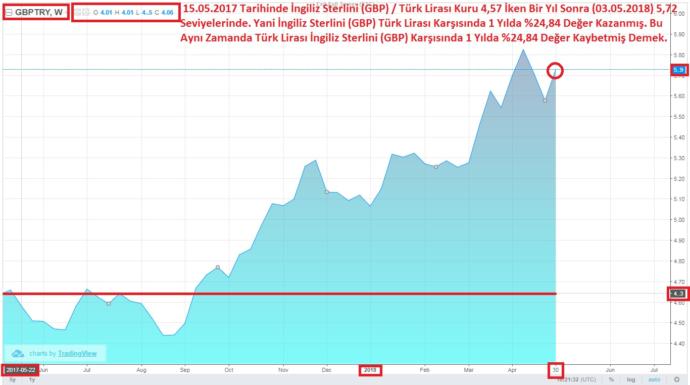 Türk Lirasının Neredeyse Tüm Para Birimleri Karşısında Değer Kaybetmesi