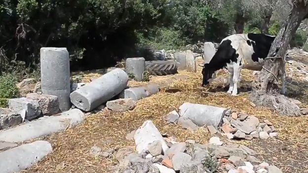Hazine Avcıları Yüzünden Ülkemizde Satışa Çıkarılan 2.500 Yıllık Tarihi Şehir