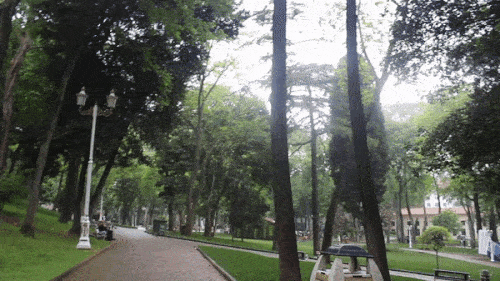 Ceviz Ağacı Olup İçinde Kök Salmak İsteyeceğiniz Gülhane Parkını Gezdim!
