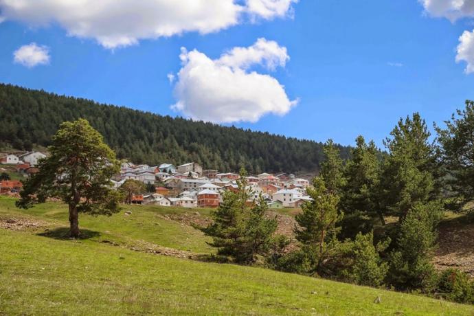 Ordu'da Gezilecek Yaylalar Hangileridir?