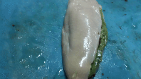 Ramazan Ayında Pratik ve Lezzetli Yemek İsteyenlere! İçi Dolu Tavuk Nasıl Yapılır?