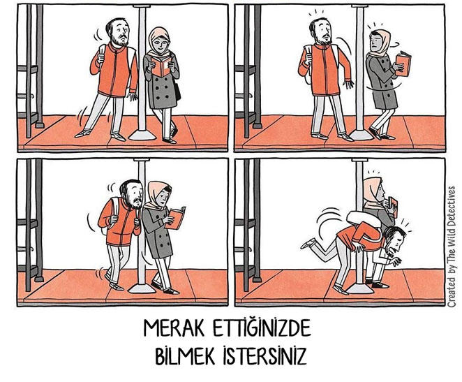 Sadece Kitap Delilerinin Anlayabileceği,