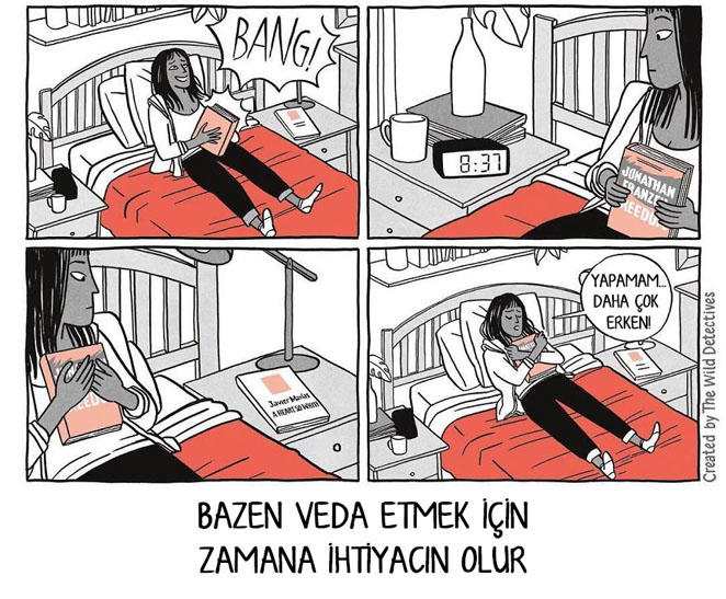 Sadece Kitap Delilerinin Anlayabileceği,