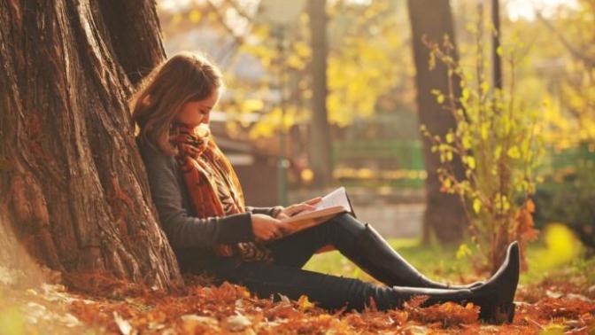 Sadece Kitap Delilerinin Anlayabileceği, "Kitaptan Başkası Yalan" Diyenler İçin İllüstrasyonlar!