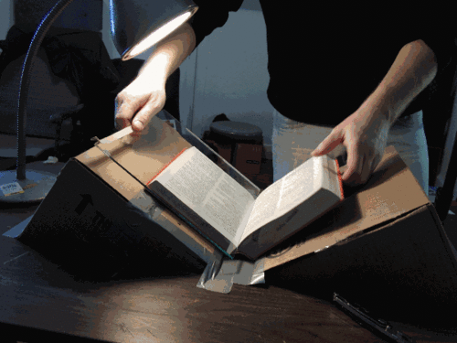 Kitap Tutkunlarının Takıntıları Nelerdir?