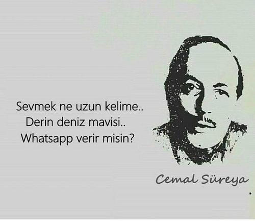 İnternet Aleminde Dolaşan Birbirinden Komik Parodi Capslar