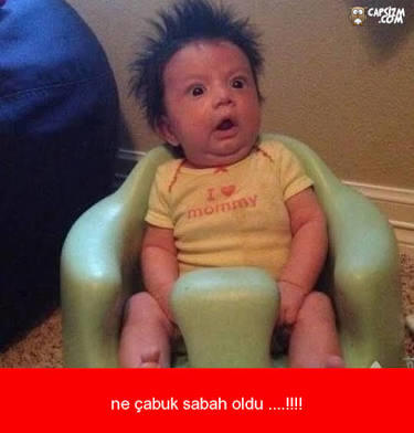 Ordu'da Kullanılan Yerel Kelimeler Nelerdir?