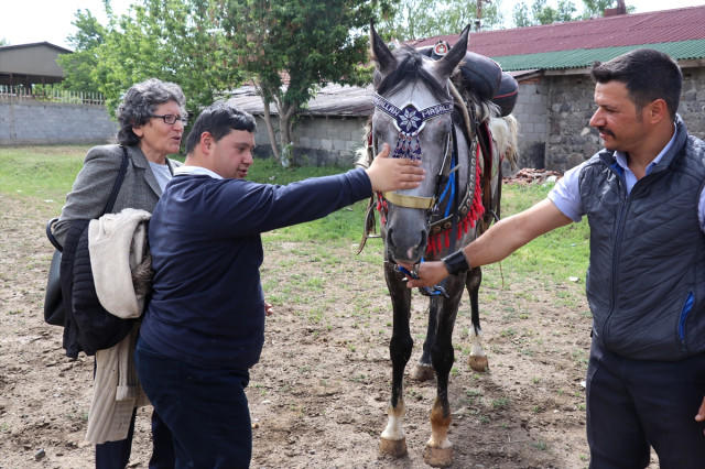 Down Sendromuna Atlı Tedavi