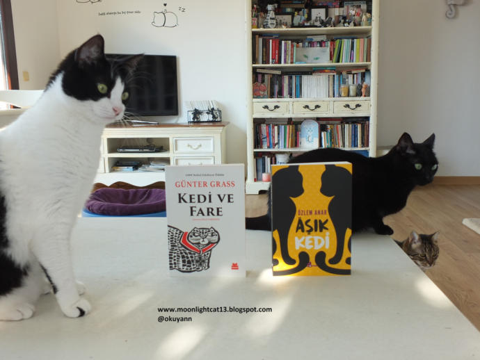 Edebi Açıdan Çok Yükselmiş, Hayat Hikayelerinin Bulunduğu 5 Kitap