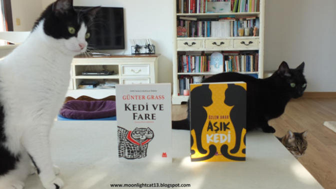 Edebi Açıdan Çok Yükselmiş, Hayat Hikayelerinin Bulunduğu 5 Kitap