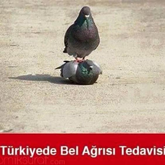 Komiklikte Yarışan Akıllara Zarar Capsler!