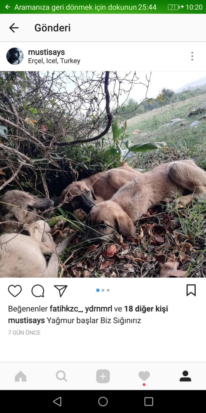 Sizi Bir Erkekten/Kadından Daha Çok Mutlu Edecek Şeyler Nelerdir?