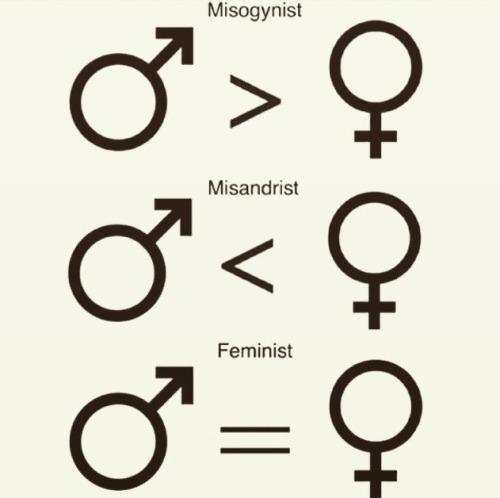 Neden Feminist Olmalısın?