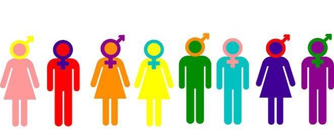 Neden Feminist Olmalısın?