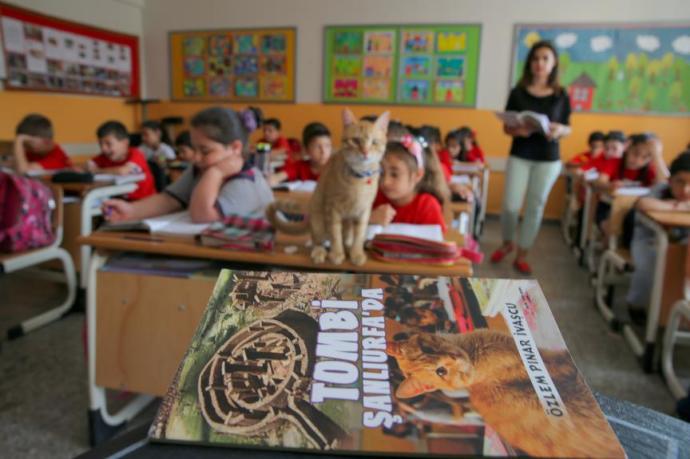 Ünlü Kedi Tombi Kitap Kahramanı Oluyor