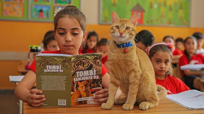 Ünlü Kedi Tombi Kitap Kahramanı Oluyor