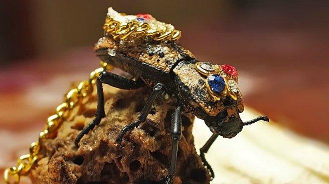 Sanat Hiç Bu Denli Ürkütücü Olmamıştı: Böceklerden Harikalar Yaratan Adam!