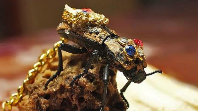 Sanat Hiç Bu Denli Ürkütücü Olmamıştı: Böceklerden Harikalar Yaratan Adam!