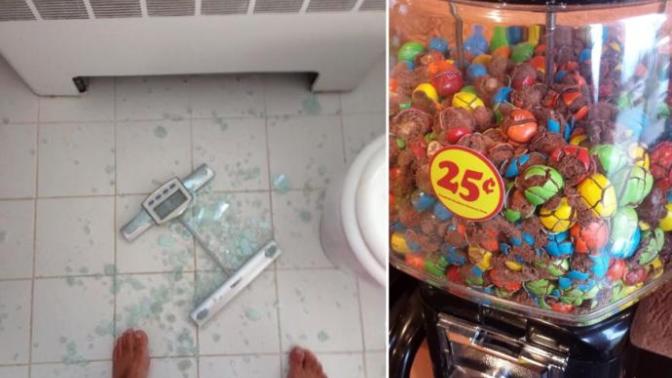 Bu Görseller, Kırılgan ve Minnoş Ruhunuzu Tuz Buz Edebilecek Kırıcılığa Sahip!