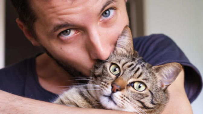"İnsan İlişkilerinde Hiç İyi Değilim, Keşke Bir Kedi Olsam!" Dediğimiz Durumlar Nelerdir?