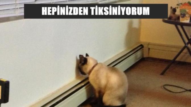 Herkesin Hissettiği Ancak Adını Bir Türlü Koyamadığı O Duygu: Mauerbauertraurigkeit