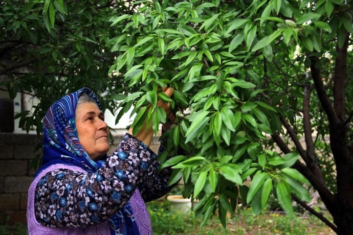 Arslanköyün Afife Jalesi Ödüllü Yönetmen Ümmiye Koçak İle Söyleşimiz!