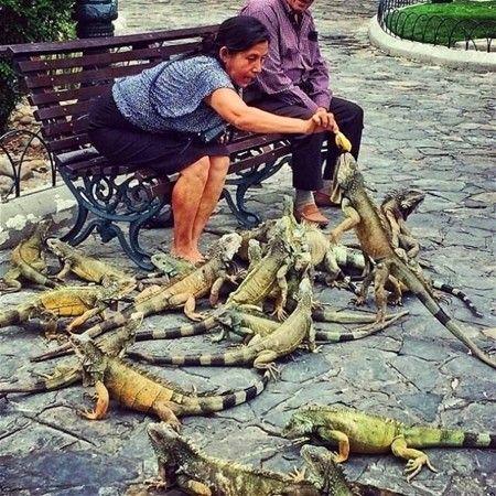 Sosyal Medyanın Son Dönemlerde En Çok Paylaşılan İlginç Fotoğrafları!