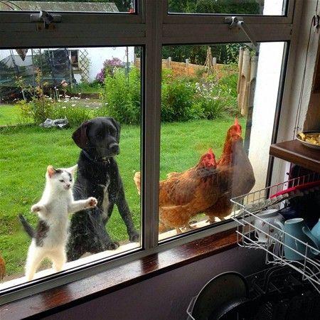 Sosyal Medyanın Son Dönemlerde En Çok Paylaşılan İlginç Fotoğrafları!