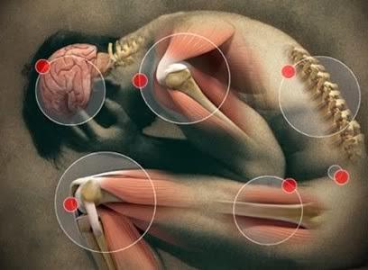 Bir Yavrunun Hayatını Söndüren Kemik Hastalığı: Osteosarkom!