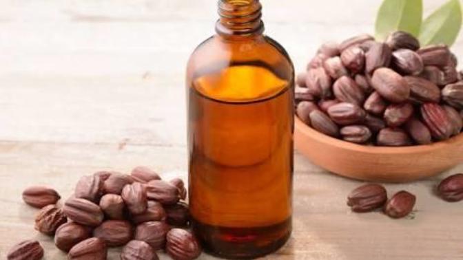 Saç Bakımınızın Bir Numaralı Ürünü Olacak Jojoba Yağının Mükemmel Faydaları Nelerdir?