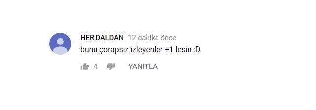 Aleyna Tilki'nin Yalnız Çiçek İsimli Yeni Şarkısının Altına Gelen İlginç Yorumlar!