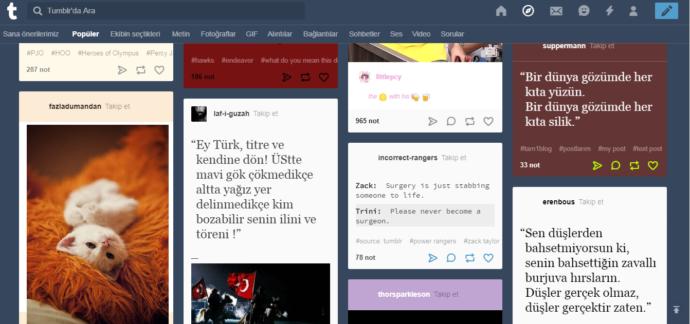 Dünyanın Kargaşasından Uzak Bir Yer: Tumblr