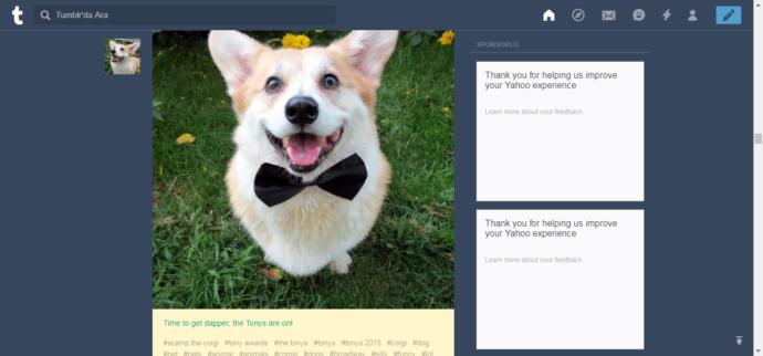 Dünyanın Kargaşasından Uzak Bir Yer: Tumblr