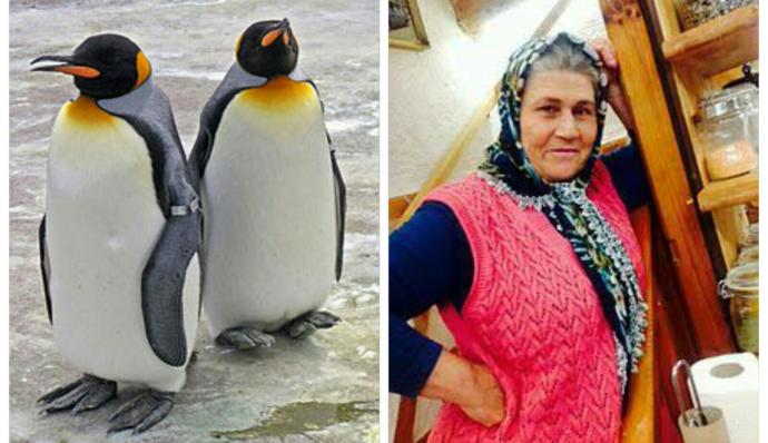 Arslanköyün Afife Jalesi Ödüllü Yönetmen Ümmiye Koçaktan KizlarSoruyor Üyelerine Mesaj Var