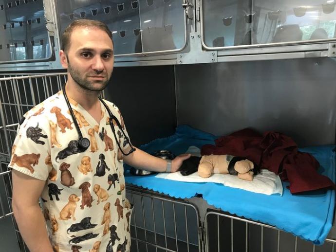 Kuyruğu ve Bacakları Kesilen Yavru Köpek Hakkında Kan Donduran İhtimal! Kesilen Bacaklar Kara Büyü İçin mi Kesildi?