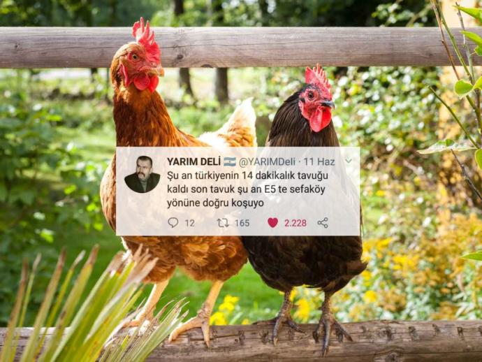 Ülkedeki Tavuk Krizini Duyan Mizahşörlerden Sosyal Medyayı Sallayan Tweetler!