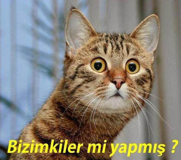 Sanata Kedi Karışmış, Ortaya Muhteşem Eserler Çıkmış: İşte Dünyalarca Ünlü Tabloların Birbirinden Tatlı Kedili Halleri!