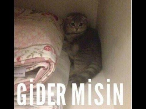 Sonsuz Bir İlişki İsteyenlerin Bilmesi Gereken Altın Kurallar Nelerdir?