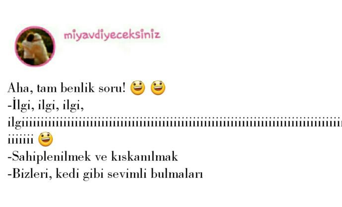 Erkekler Kadınlardan, Kadınlar Erkeklerden Ne İster? KizlarSoruyor Üyelerine Sordum!