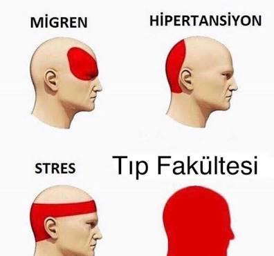 Tıp Okumanın Evreleri Nelerdir?