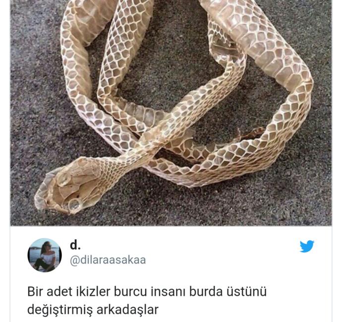 Bir Garip Ruh Haline Sahip Olan İkizler Burcu Hakkında Atılmış Komik Tweetler!