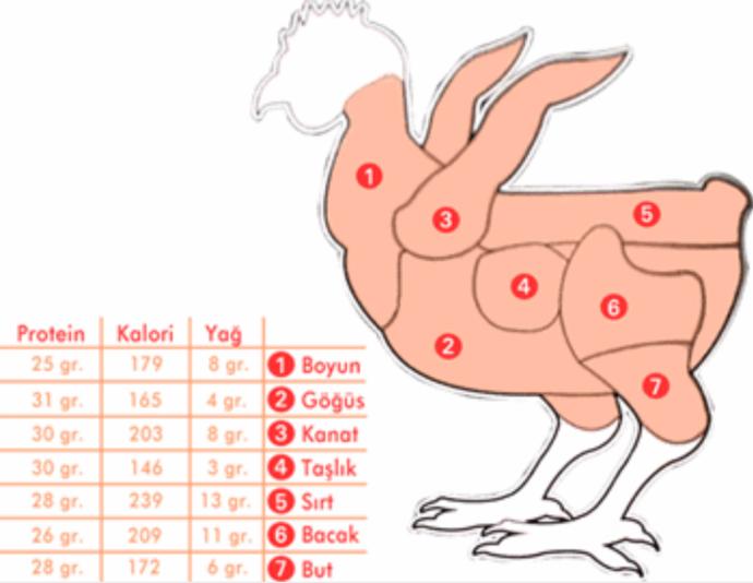 Plajların Süperstarı Olmak İçin Diyet Şart!