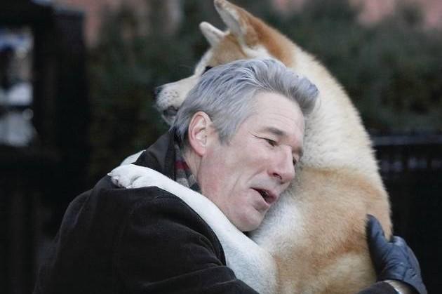 Dostluğun ve Sadakatin Sadece İnsanlara Ait Kavramlar Olmadığını Öğreten Film: Hachi, Bir Köpeğin Hikayesi!