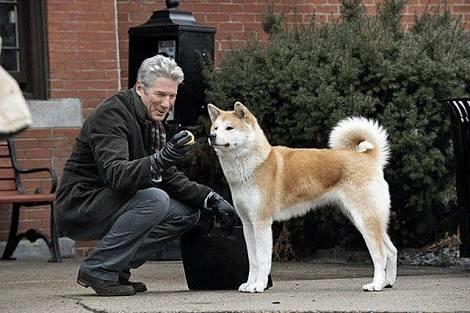 Dostluğun ve Sadakatin Sadece İnsanlara Ait Kavramlar Olmadığını Öğreten Film: Hachi, Bir Köpeğin Hikayesi!