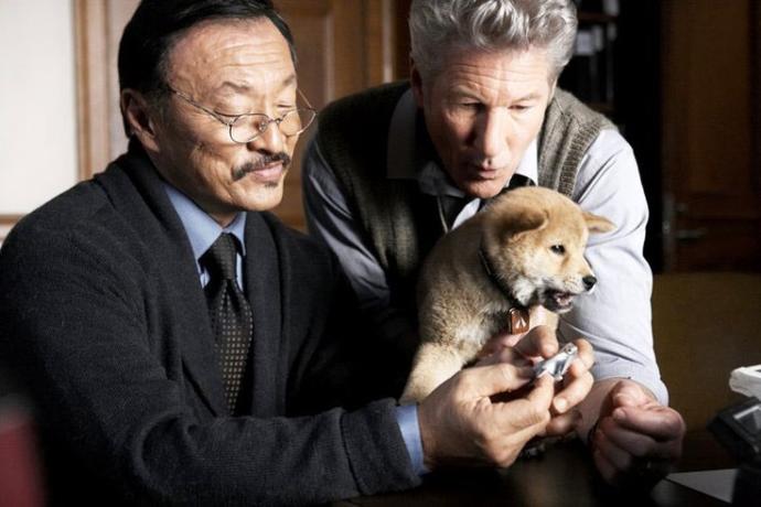 Dostluğun ve Sadakatin Sadece İnsanlara Ait Kavramlar Olmadığını Öğreten Film: Hachi, Bir Köpeğin Hikayesi!